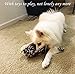 Standie Mark, Pet Puppy Dog Rope Toys for Medium to Big Dogs (Pack of 4)