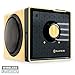 GOgroove BlueSYNC BX Portable Wireless Bluetooth Speaker - Rechargeable Compact Speaker with NFC, AUX and USB Inputs, Mic, Playback Controls for Flash Media, 4-6 Hour Battery (Wireless, Wood Brown)