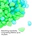 PROMENE 200pcs Glow in the Dark Garden Pebbles, Green and Blue for Walkway Yard and Decor DIY Decorative Gravel Stones (200PCS)