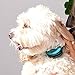 Our K9 Training Made Easy – Bark Collar  for  Small Dogs –  Adjustable Shock & Vibration,  Pain Free  Bark Controlthumb 4