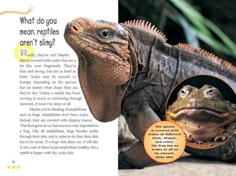 Everything Reptile: What Kids Really Want to Know about Reptiles (Kids Faqs)