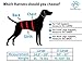 XL Blue Dog Lift Support Harness for canine aid - Lifting Older K9 with handle for Injuries, Arthritis or Weak hind legs & Joints. Large / X-large breed Assist Sling for mobility & Rehabilitation