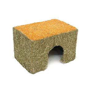 Rosewood Naturals Carrot Cottage Guinea Pig House, Medium