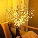 Novobey Lighted Twig Branches Lights, 30 Inches 20 LED Battery Operated Artificial Tree Willow Branches Lamp for Home Holiday Party Decoration Decor (Warm White)