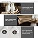 WINGOFFLY® Decorative Birds On Tree Branch Wall Mounted Coat Hanger for Coats/Hats/Keys/Towels(Three Birds)