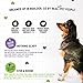 I and love and you Stir & Boom Dehydrated Freeze Dried Raw Dog Food, Turkey, 5.5-Pound Bag