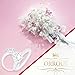 ORROUS & CO Legacy Collection 18K White Gold Plated Cubic Zirconia Solitaire Engagement Ring, Round, 5