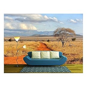 Beautiful Landscape with Tree in Africa - Removable Wall Mural | Self-Adhesive Large Wallpaper - 66x96 inches
