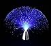 Multicolor Fiber Optic Lamp Light Holiday Wedding Centerpiece Fiberoptic LED New