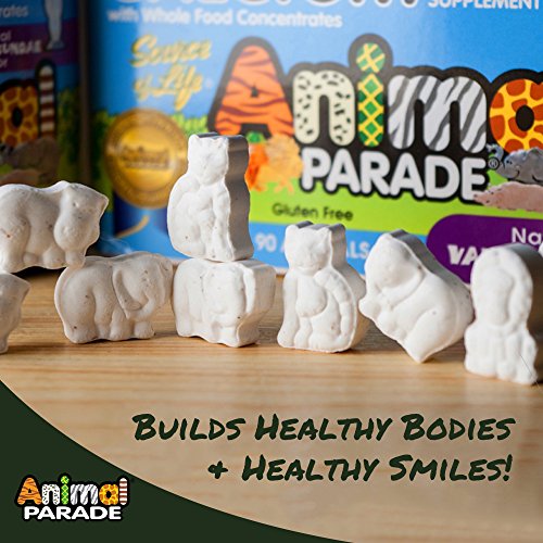 NaturesPlus Animal Parade Source of Life Tooth Fairy Children's Chewable - Natural Vanilla Flavor - 90 Animal Shaped Tablets - Dental Health Supplement - Vegetarian, Gluten-Free - 45 Servings
