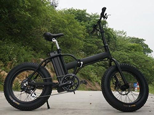 E-Bike 350W 20" Electric Bicycle Mountain bike FOLDING Fat Tire