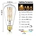 Leools 10W Edison Style Vintage LED Filament Light Bulb,100 Watt Equivalent Light Bulbs,Dimmable,Warm White 2700K,1200LM,ST64, E26 Medium Base Lamp, Antique Shape, (2 Pack)