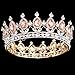 Stuff Crystal Crown Tiaras Prom Party Wedding Bridesmaid Hair Piece with Bobby Pins (Champagne)