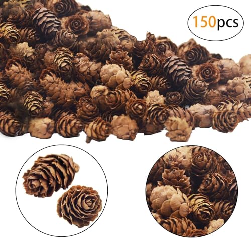 Deloky 150 Pcs Christmas Natural Mini Pine Cones- 2CM Thanksgiving Small Pinecones Ornaments Vase Fillers for DIY Crafts, Home Decorations, Fall and Christmas, Wedding Decor