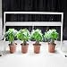 iPower 54WX2 4 Feet 2-Bulb T5 Fluorescent Grow Light Stand Rack for Seed Starting Plant Growing, 6400K,White variant