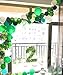 DIvine 40 Pcs 12 Inch Green Balloons Set, Green Agate Marble Balloons, Assorted Green and White Latex Balloons for Wild One, Jungle, Animal, Dinosaur Birthday Party Decoration, Backdrop, Balloon Arch