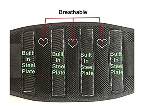 Actopus Magnetic Back Support Belt Pain Relief Brace Therapy
