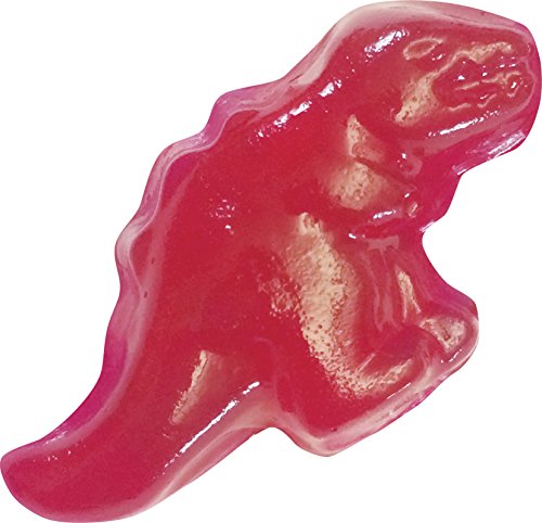 Thames & Kosmos Gummy Candy Lab Science Kit