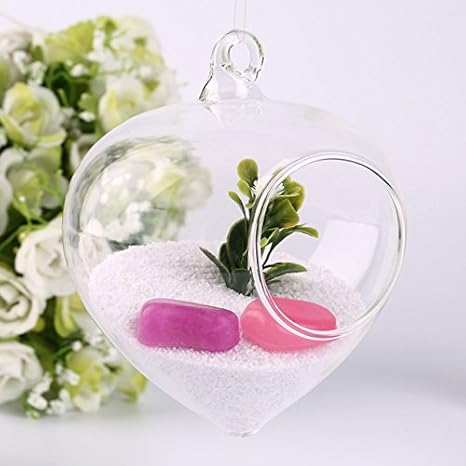 Buy Gyroscope Shaped Clear Glass Plant Flower Vase Bottle Office