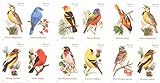 Songbirds Booklet of 20 USPS Forever Postage Stamps