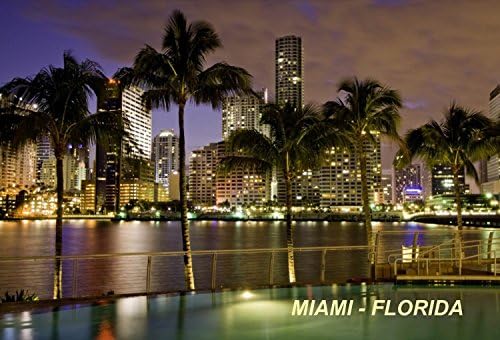 Florida USA United States Fridge Refrigerator Magnets (City: Miami #P2)