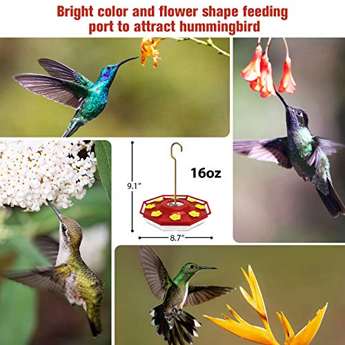 Ordenado Hummingbird Feeder, 16 oz Fluid Hummingbird Feeder for Outdoor, Hanging Bird Feeder with 8 Feeding Ports, Easy to Fill & Clean, Not Easy to Leak