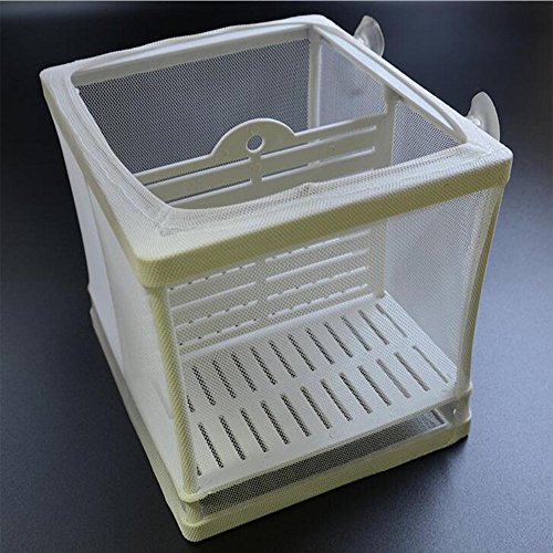 5 Kangkang+Aquarium+Incubator+Equipment+Isolation
