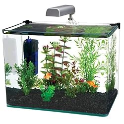 Penn Plax Curved Corner Glass Aquarium Kit