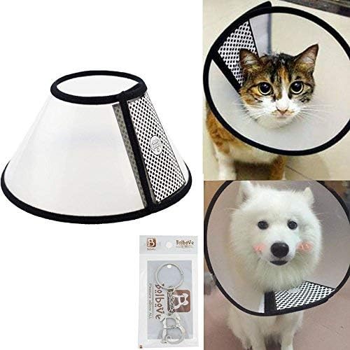clear dog cone collar