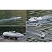 Blexy Remote Control Boat 2.4Ghz 4CH Electric RC Speed Boat with Two Hatches for Lakes