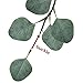 Winlyn Pack of 4 Artificial Silver Dollar Eucalyptus Leaves Spray Greenery Stems in Grey Green 25.5