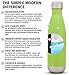 Simple Modern Stainless Steel Vacuum Insulated Double-Walled Wave Bottle, 17oz - Limeade Green