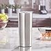 BUILT 20 Ounce Double Wall Stainless Steel Tumbler Silver 5193244