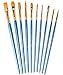 Hibery 20 Pcs Pointed - Round Paintbrush Set - Blue Round Pointed Tip Nylon Paint Brush Set, Art and Watercolor Brushes, Acrylic Paint Brushes, Oil Painting Supplies