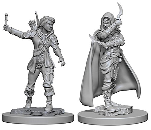 Pathfinder: Deep Cuts Unpainted Miniatures: Human Female Rogue