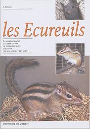 Les  écureuils