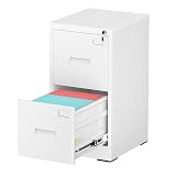 INTERGREAT 2 Drawer File Cabinet, White Metal Filing Cabinet with Lock, Lockable Vertical File Office Cabinet for Hanging Letters/Legal/A4, Assembly Required