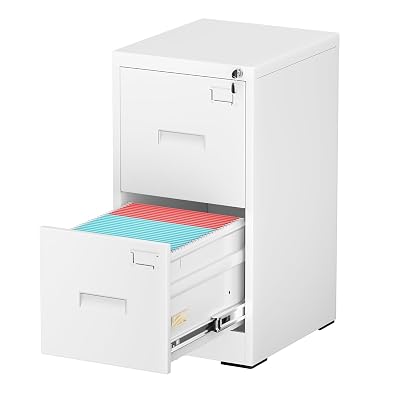 INTERGREAT 2 Drawer File Cabinet, White Metal Filing Cabinet with Lock, Lockable Vertical File Office Cabinet for Hanging Letters/Legal/A4, Assembly Required