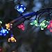 NeutralPure ECO Peach Flower Solar Powered String Lights (50 LED); Christmas Party, Outdoor, Patio and Garden Friendly