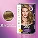 Clairol Age Defy Expert Collection, 8a Medium Ash Blonde Permanent Hair Color (3 Applications) (Packaging May Vary)