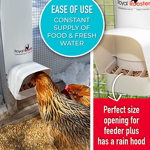 Royal Rooster Chicken Feeder and Chicken Waterer Set 7 lb Poultry
