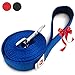 Dog Leash for Medium, Large and Small Dogs - 6 Foot Dog Leashes for Training and Daily Walks - Durable Sizes in Lightweight and Heavy Duty for Small and Large Breeds (1-Layer, Blue)