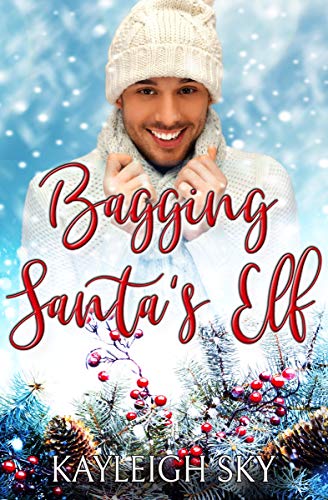 Bagging Santa's Elf by [Sky, Kayleigh]