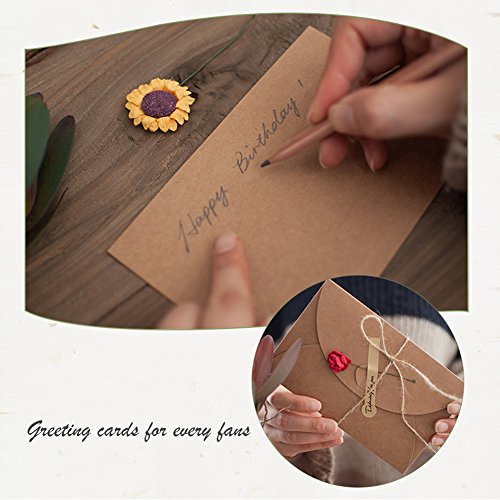 HANSGO Gift Card Envelopes, 100PCS 4 x 2.8 inch Cute Envelopes Small Gift Card Holders Mini Seed Envelopes with Heart Shaped Clasp