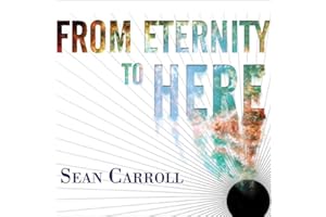 From Eternity to Here: The Quest for the Ultimate Theory of Time