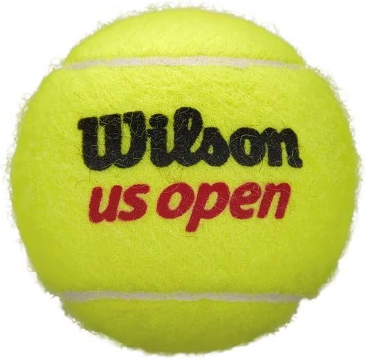 Wilson Us Open Extra Duty Balls 24 Can: Toys & Games