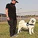 unho Dog Body Harness Padded Extra Big Large Medium Small Heavy Duty Vary from All Kinds of Size