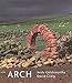 Arch by 