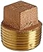 Anderson Metals Brass Threaded Pipe Fitting, Cored Plug, 3/4
