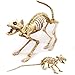 Spooktacular Creations Skeleton Cat & Rat Skeleton for Halloween Skeleton Animal Decorations, Skeleton Yard Décor and Reaper Bones Animals